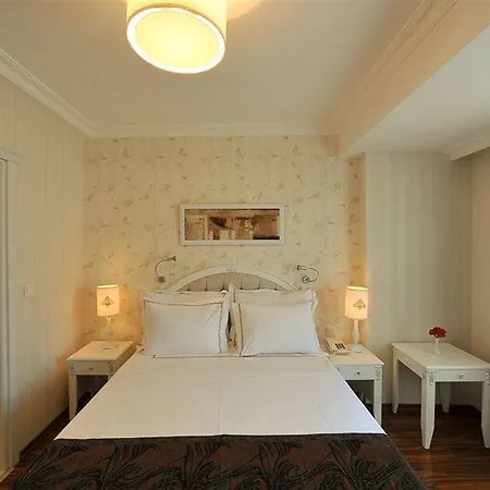 Albinas Old 3* Istanbulská provincie