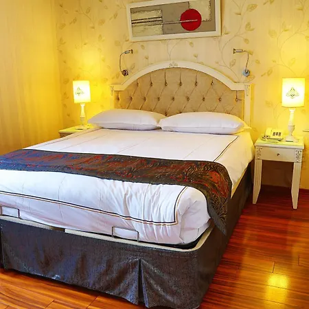 Otel Albinas Old İstanbul