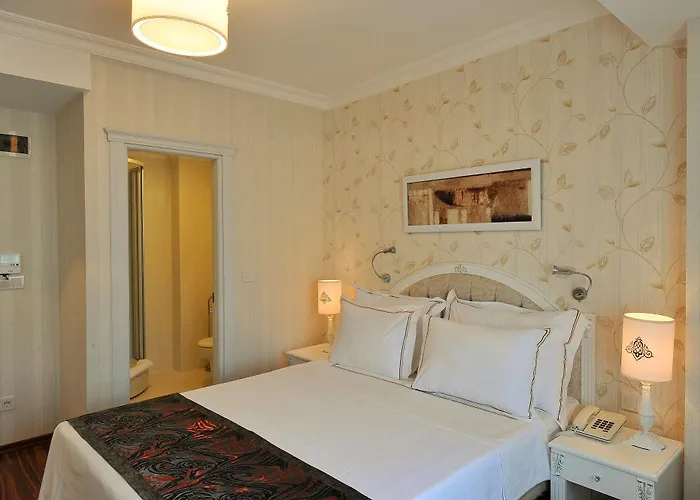 Albinas Old Istanbul