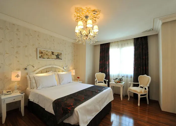 Albinas Old Istanbul