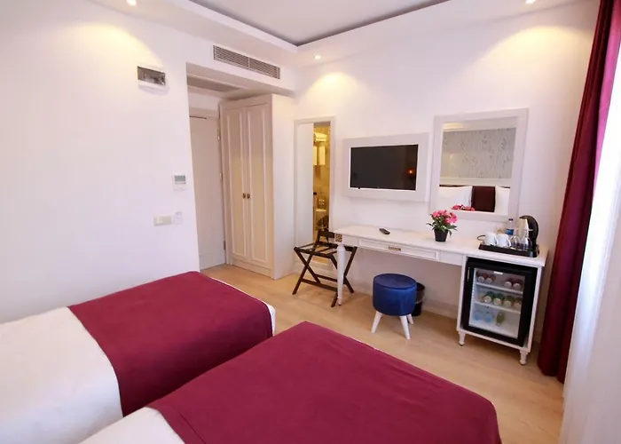 Albinas Old Hotel 3*