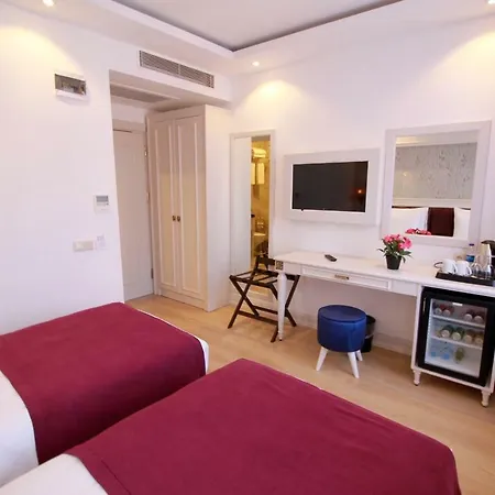 Albinas Old Hotel 3*